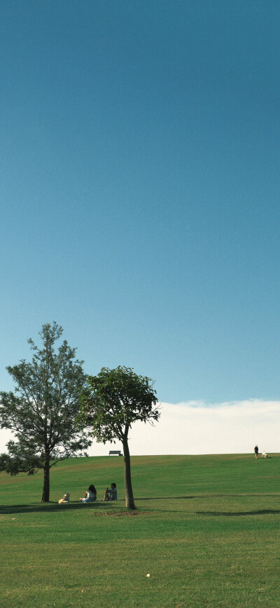 壁纸·图源微博