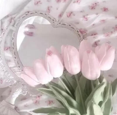 pinkgreen粉绿美学