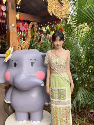 俺在西双版纳的游客照