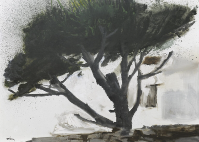 帕纳约蒂斯·特西斯出生于希腊，1937 年随家迁往比雷埃夫斯。他于 1949 年毕业于雅典美术学院，师从帕塞里斯等教授，之后于 1953–1956 年间获国家奖学金赴巴黎国立美术学院深造。回国后，他在 1948 年于 Romvos 画廊…