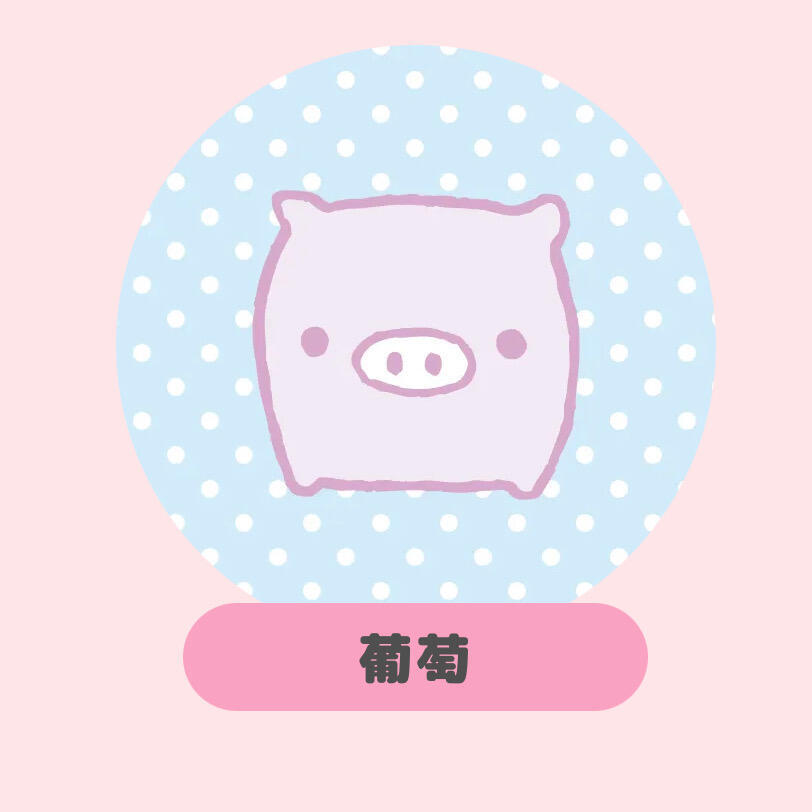 babyboo小猪