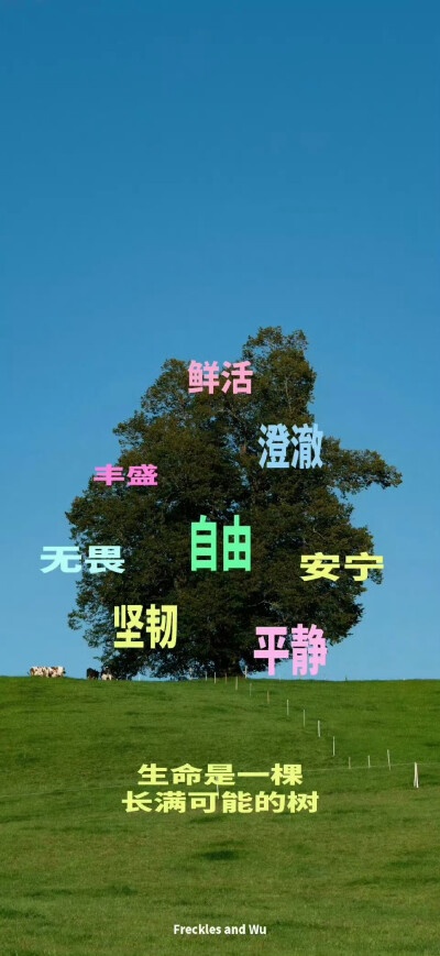 ▸ins文字壁纸
"人随春好 春与人宜"