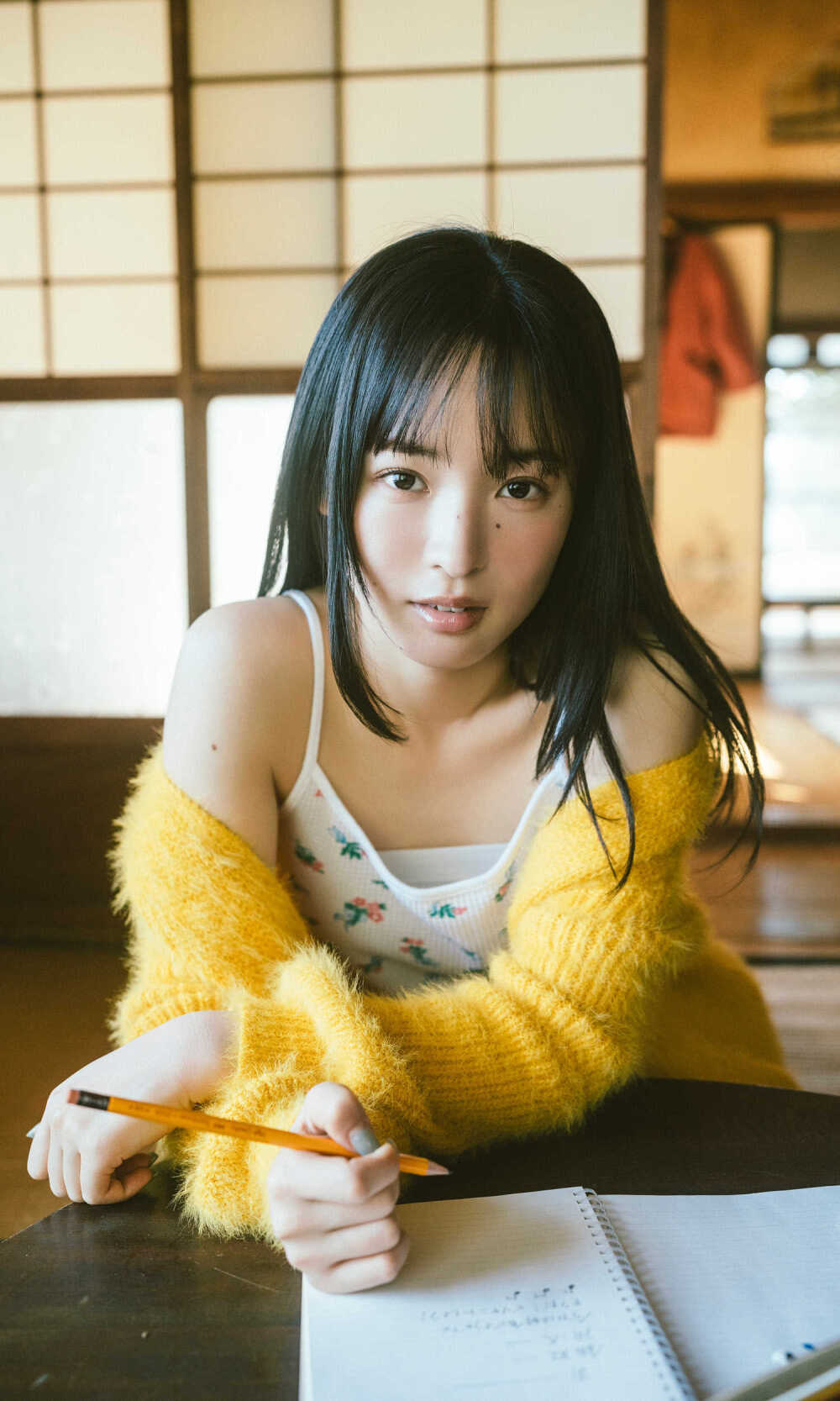 
大熊