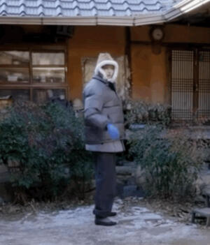 金主训