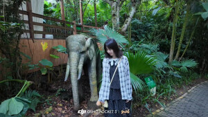 我就是喜欢装傻，装可爱，装无辜，装单纯，略略略。其实我聪明的很也坏的很，但是我就是喜欢装，装久了，我就忘记我的本性了。感觉自己每天好呆萌，好懵逼呀，怎么就活成这样了？好疑惑呀，好困惑？我就这样呆呆地望着这个世界，懵逼死了，所以，现在我真成了呆呆傻傻又有点可爱的小女孩了，你们欺负我，我就哭，对我好我就笑。同时我也是个小可怜，没人会喜欢这样的我。