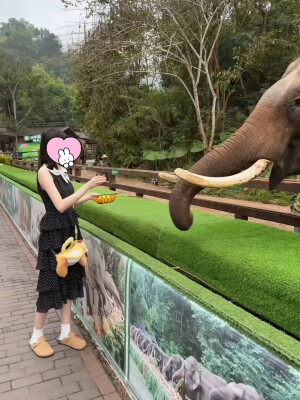 我就是喜欢装傻，装可爱，装无辜，装单纯，略略略。其实我聪明的很也坏的很，但是我就是喜欢装，装久了，我就忘记我的本性了。感觉自己每天好呆萌，好懵逼呀，怎么就活成这样了？好疑惑呀，好困惑？我就这样呆呆地望着这个世界，懵逼死了，所以，现在我真成了呆呆傻傻又有点可爱的小女孩了，你们欺负我，我就哭，对我好我就笑。同时我也是个小可怜，没人会喜欢这样的我。