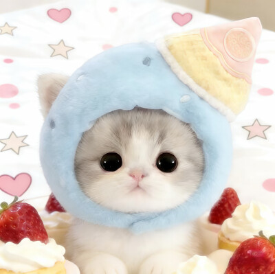 图源小红薯：我的萌天下无双