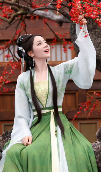 迪丽热巴《白日提灯》贺思慕