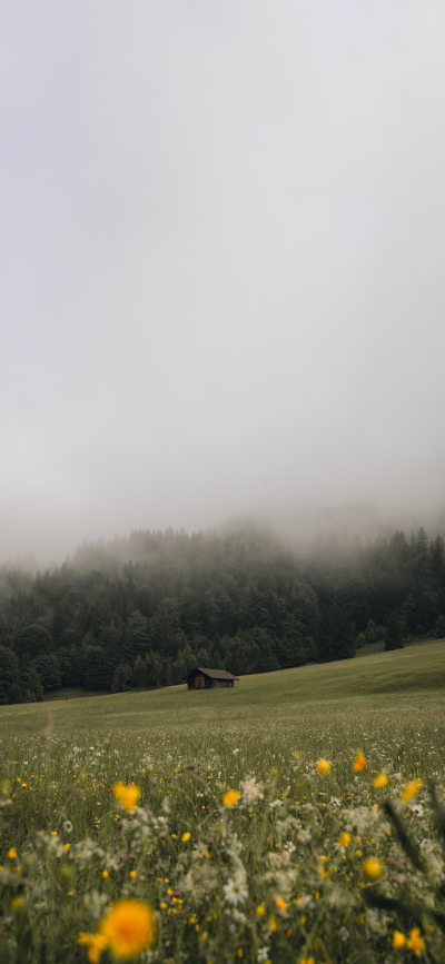 ‎#قدرات خارقة