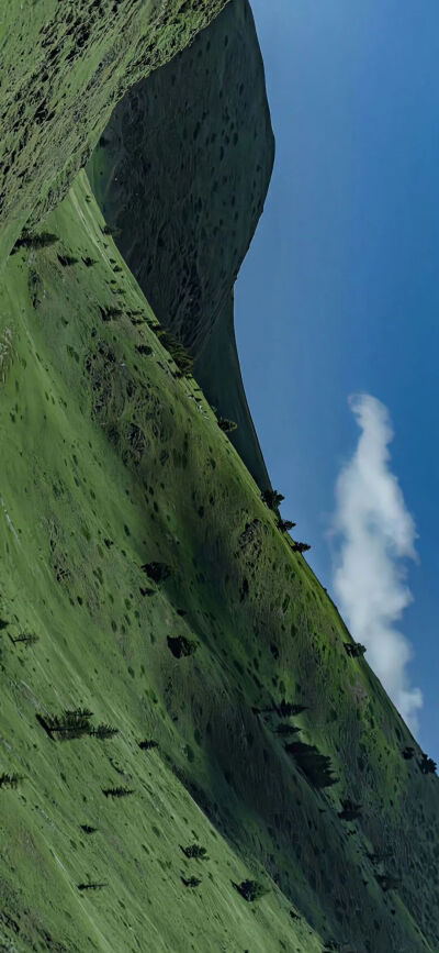 侵删