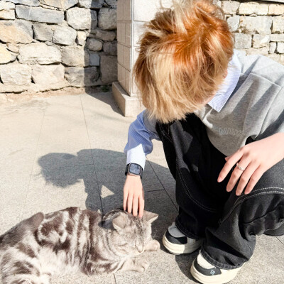 男头
二传头像注明出处