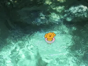 壁纸