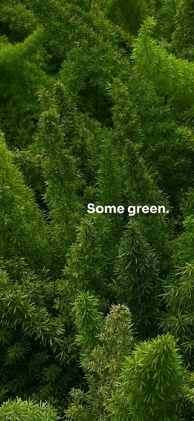 侵删
