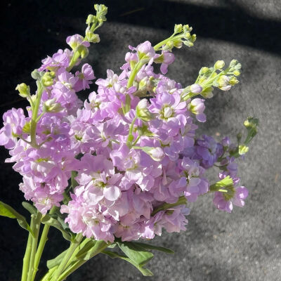 ‎#قدرات خارقة