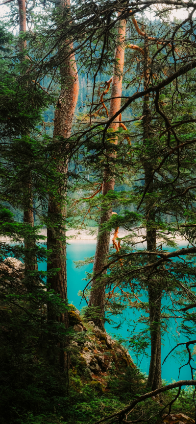 ‎#قدرات خارقة