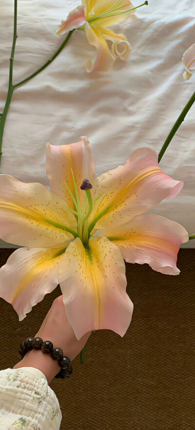 ‎#قدرات خارقة