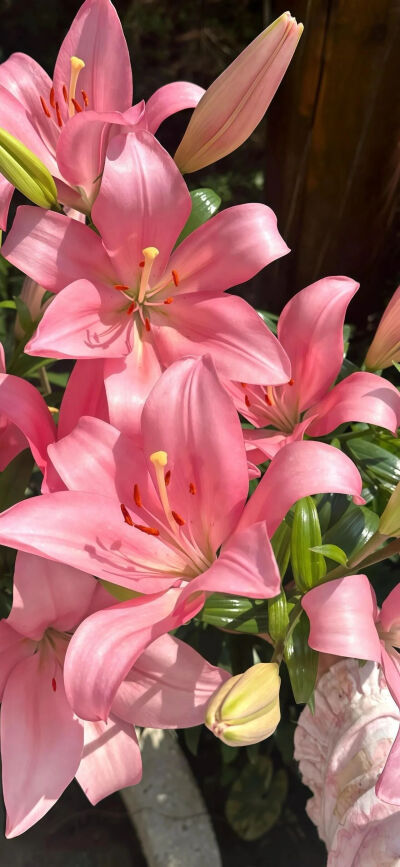 ‎#قدرات خارقة