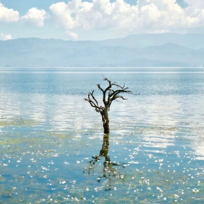 ‎#قدرات خارقة