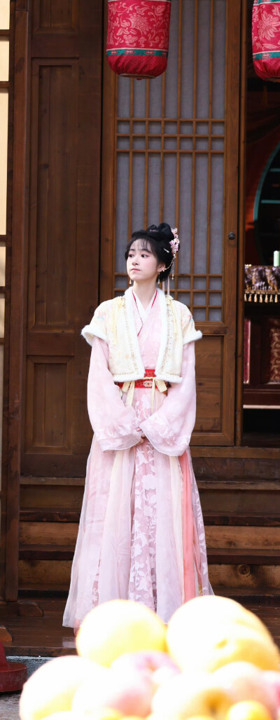 杨肸子《白日提灯》段静元