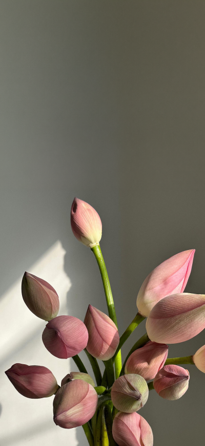 ‎#قدرات خارقة