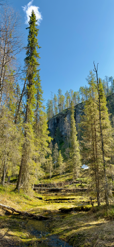 ‎#قدرات خارقة