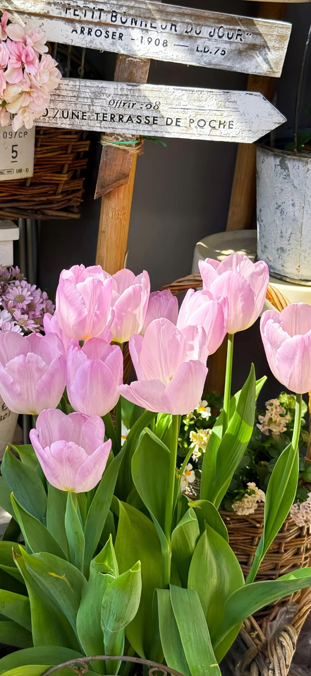 ‎#قدرات خارقة