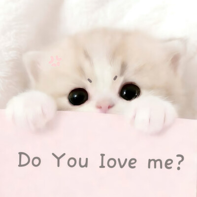 图源小红薯：我的萌天下无双