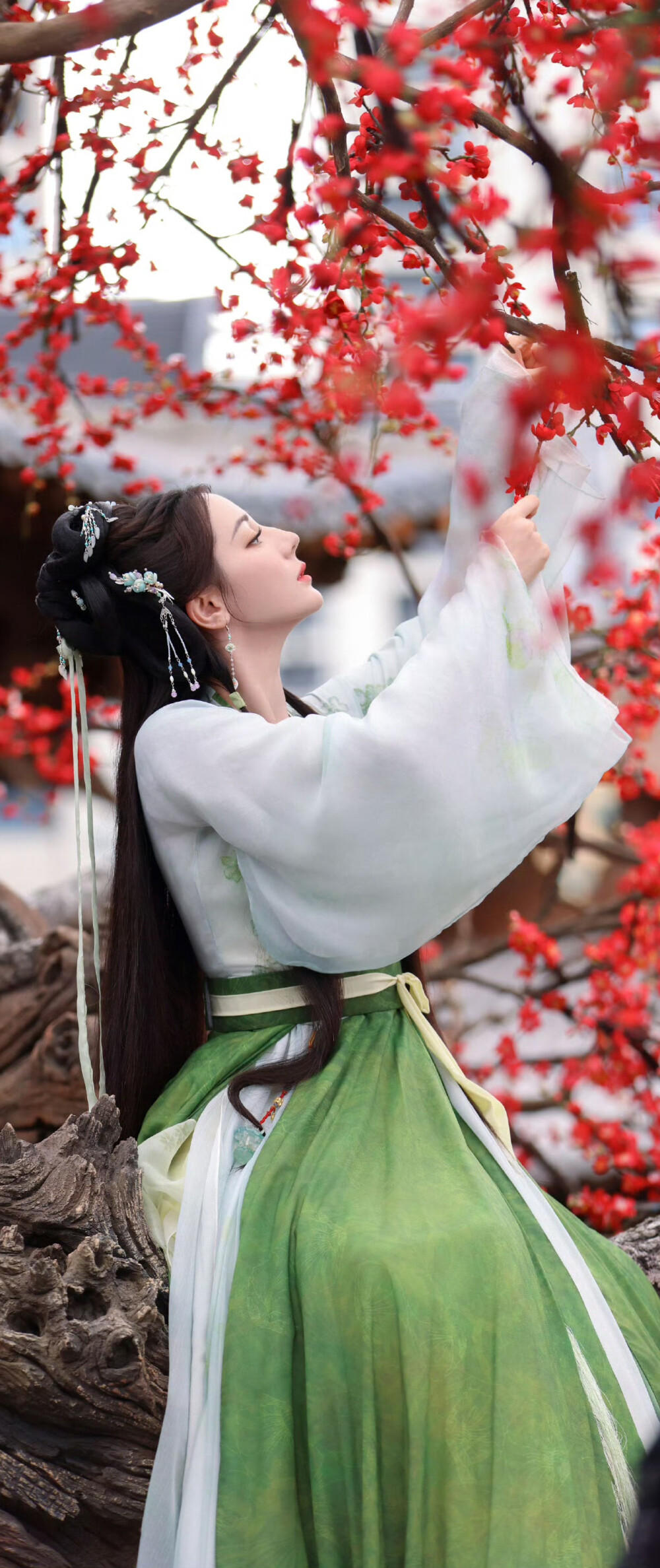 迪丽热巴《白日提灯》贺思慕