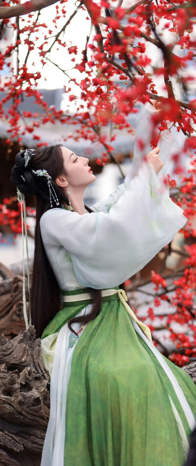 迪丽热巴《白日提灯》贺思慕