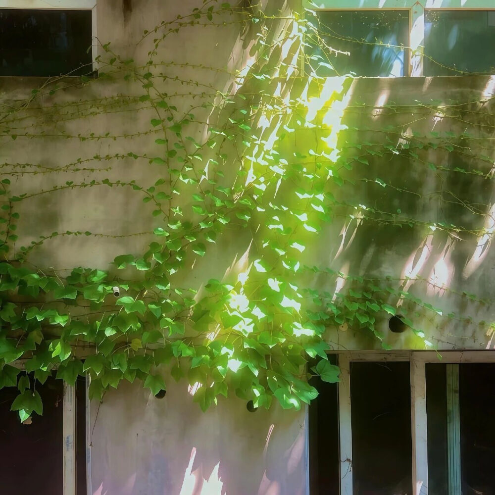 ‎#قدرات خارقة