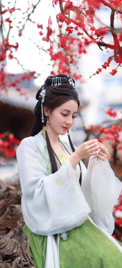 迪丽热巴《白日提灯》贺思慕