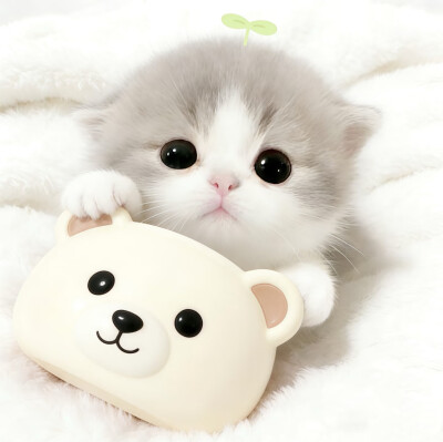 图源小红薯：我的萌天下无双