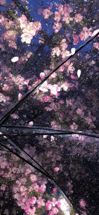 侵删