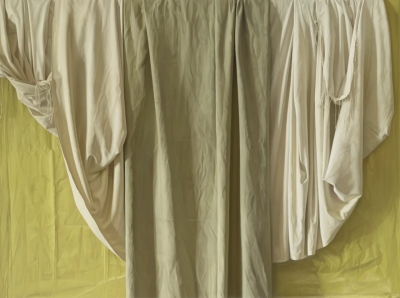 克劳迪奥·布拉沃于1936年11月8日出生于智利瓦尔帕莱索。
他是世界范围内最负盛名的智利画家之一。他近乎超写实主义的现实主义画风，使他在智利国内外艺术界都享有极高的声誉。
