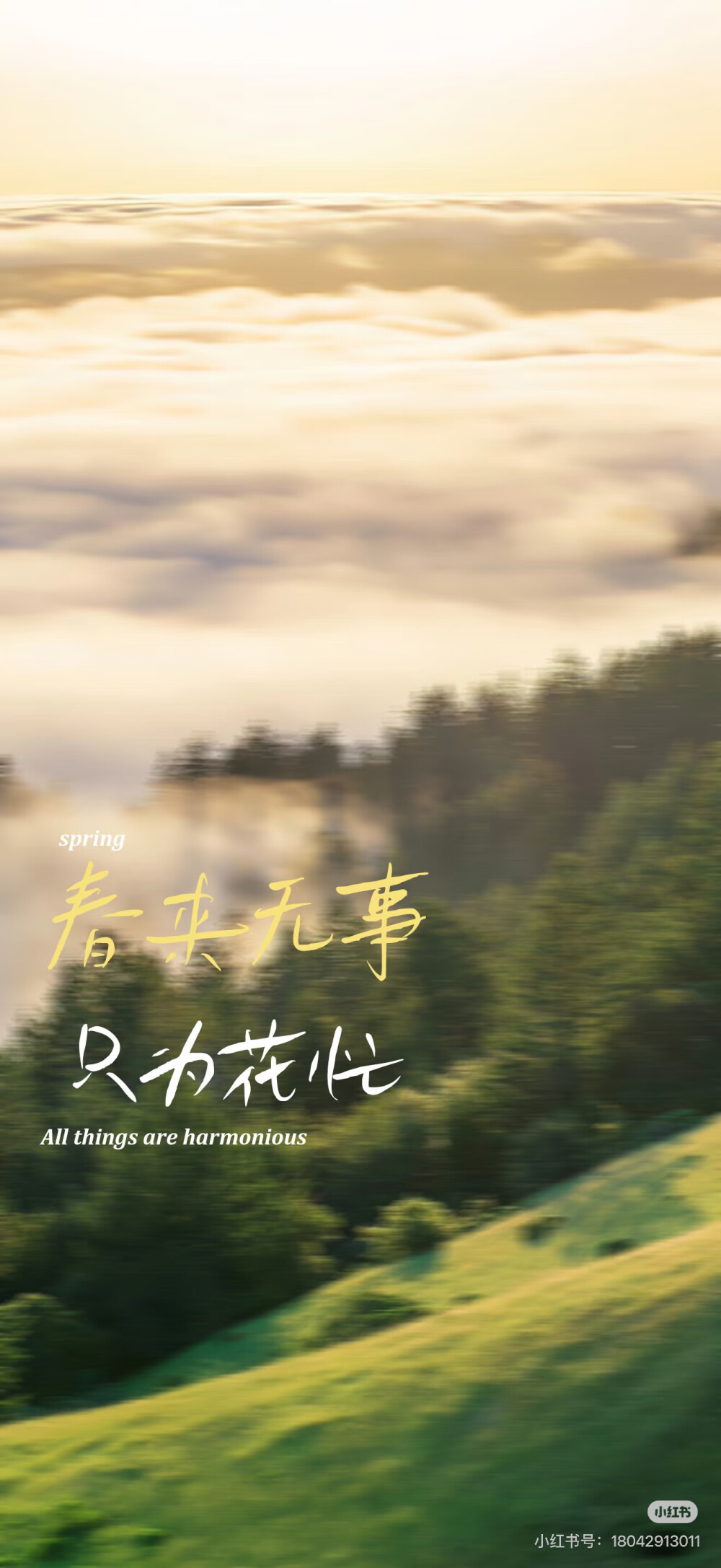 壁纸