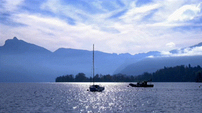 动图｜山野与繁花，皆是人间浪漫
