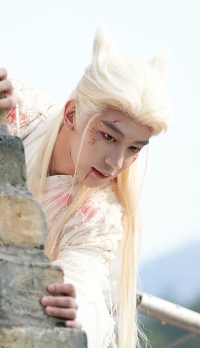 夏之光《月鳞绮纪》柳为雪