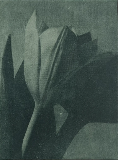 波比·琼斯是一位英国当代具象画家，以兼具写实基础与松动笔触的人物绘画而受到关注。她的创作立足于直接观察与写生传统，同时融入更为当代的绘画意识，使作品在结构准确与表现自由之间形成平衡。