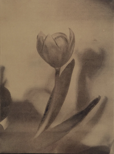 波比·琼斯是一位英国当代具象画家，以兼具写实基础与松动笔触的人物绘画而受到关注。她的创作立足于直接观察与写生传统，同时融入更为当代的绘画意识，使作品在结构准确与表现自由之间形成平衡。