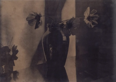 波比·琼斯是一位英国当代具象画家，以兼具写实基础与松动笔触的人物绘画而受到关注。她的创作立足于直接观察与写生传统，同时融入更为当代的绘画意识，使作品在结构准确与表现自由之间形成平衡。