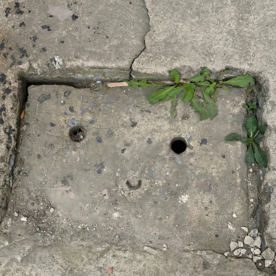 图源ks：偷喝汽水