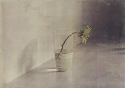 波比·琼斯是一位英国当代具象画家，以兼具写实基础与松动笔触的人物绘画而受到关注。她的创作立足于直接观察与写生传统，同时融入更为当代的绘画意识，使作品在结构准确与表现自由之间形成平衡。