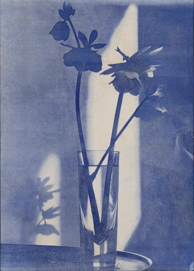 波比·琼斯是一位英国当代具象画家，以兼具写实基础与松动笔触的人物绘画而受到关注。她的创作立足于直接观察与写生传统，同时融入更为当代的绘画意识，使作品在结构准确与表现自由之间形成平衡。