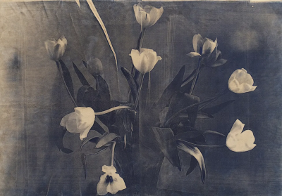 波比·琼斯是一位英国当代具象画家，以兼具写实基础与松动笔触的人物绘画而受到关注。她的创作立足于直接观察与写生传统，同时融入更为当代的绘画意识，使作品在结构准确与表现自由之间形成平衡。