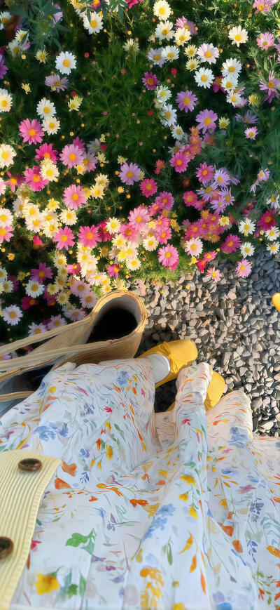 小清新壁纸分享.ᐟ.ᐟ