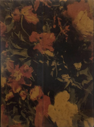 波比·琼斯是一位英国当代具象画家，以兼具写实基础与松动笔触的人物绘画而受到关注。她的创作立足于直接观察与写生传统，同时融入更为当代的绘画意识，使作品在结构准确与表现自由之间形成平衡。