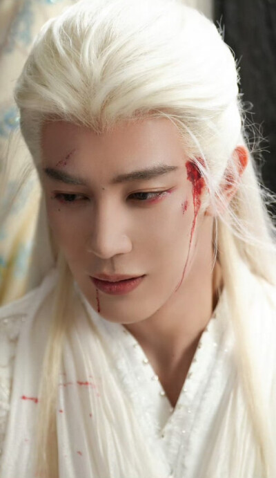 夏之光《月鳞绮纪》柳为雪