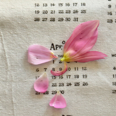 图源ks：偷喝汽水