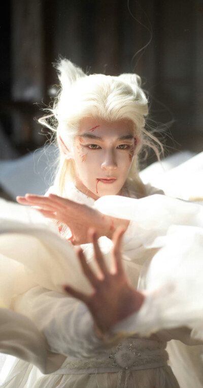 夏之光《月鳞绮纪》柳为雪