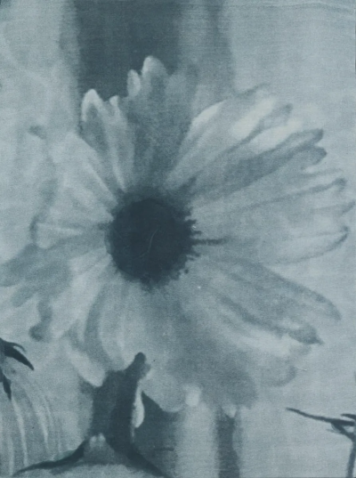 波比·琼斯是一位英国当代具象画家，以兼具写实基础与松动笔触的人物绘画而受到关注。她的创作立足于直接观察与写生传统，同时融入更为当代的绘画意识，使作品在结构准确与表现自由之间形成平衡。